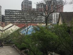 -黄桷坪涂鸦艺术街