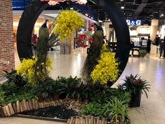 商场环境-兴隆摩尔世界