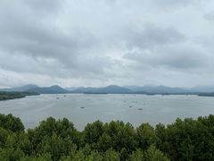 -杭州君悦酒店