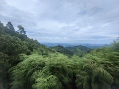-莫干山风景区