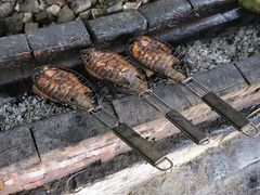 烤鱼-大本营竹筒饭