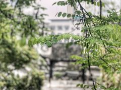 -阳明祠