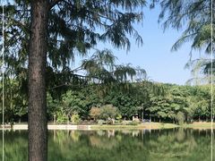 -东莞植物园