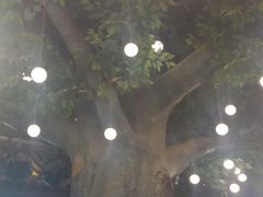 -来小酌·长安酒家(翠庭大厦店)