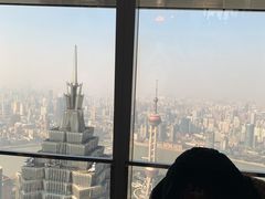-上海柏悦酒店·世纪100牛排馆
