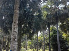 -中国科学院西双版纳热带植物园