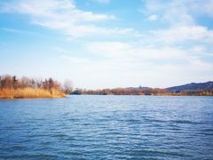 -长兴太湖图影湿地文化园