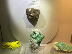 -湖南省地质博物馆
