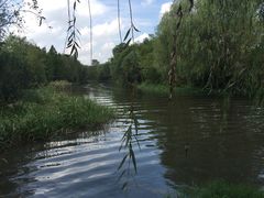-新江湾城公园