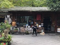 -青城甲(青城山店)