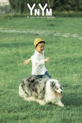 -雅尼·亚米儿童摄影美学馆(汉阳店)