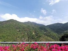 -梧桐山风景名胜区