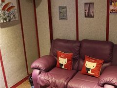 -爱上影私人影院(农院路店)