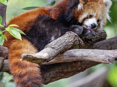 -Galleria百货店名品馆