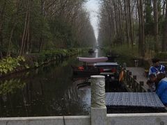 -合肥滨湖国家森林公园