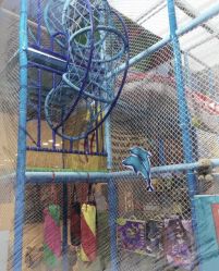 -小玩家儿童主题乐园(世茂广场店)