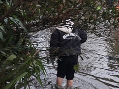 -重庆彩云湖湿地公园