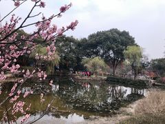 -无锡梅园公园