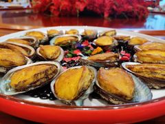 煎焗大连鲍-顺风山庄(水濂山店)