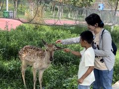 -水上乐园·欢乐世界