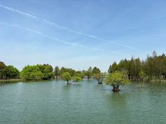 -贡湖湾湿地公园