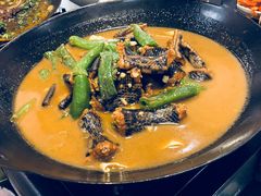 -不炭白烧烤(成都首店)