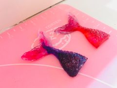 -咖咖熊蛋糕定制·蓝风车动物奶油