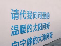 -日照海滨国家森林公园