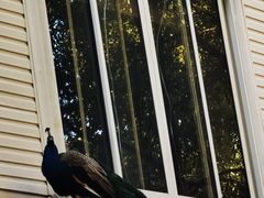 -金庭庄园酒店-停车场