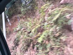 -广州市帽峰山景区