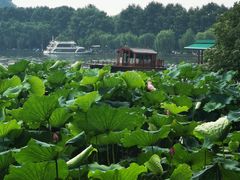 -湖畔居茶楼(湖滨店)