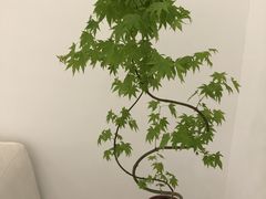 -喜茶(杭州滨江宝龙店)