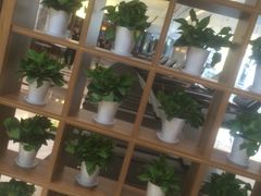 -银吉姆健身(恒隆馆)