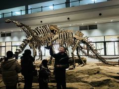 -自贡恐龙博物馆