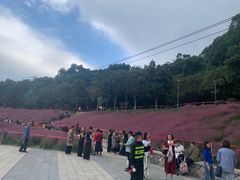 -牛岗山公园