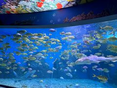 -泉城欧乐堡海洋极地世界