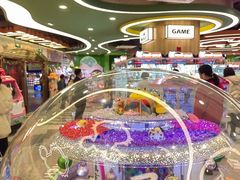 -汤姆熊欢乐世界(正大店)