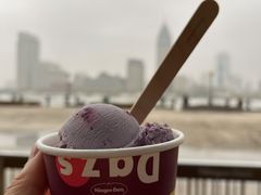 -陆家嘴中心绿地