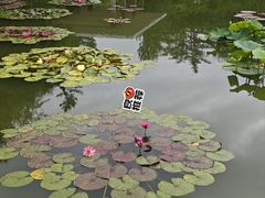 -国家植物园南园