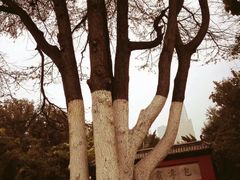 -包公祠