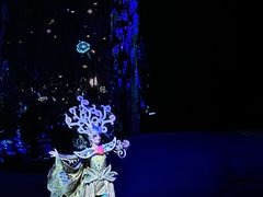 -广州长隆国际大马戏