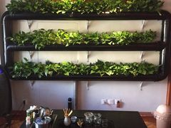 -孙三拨按摩拨筋(五一路店)