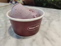 -哈根达斯(西安北郊店)