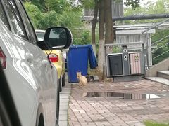 -五台山南京工业大学游泳馆(江浦馆)