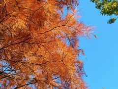 -嘉北郊野公园
