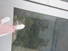 -重庆云阳龙缸景区