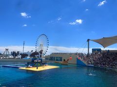 -秦皇岛乐岛海洋王国