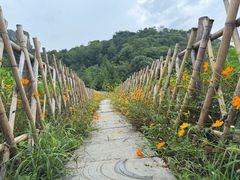 -贵阳市花溪国家城市湿地公园