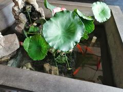 -灶东家民间菜(回兴店)