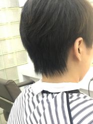 -艺之剪